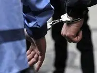 عوامل آتش سوزی خودرو‌ها در آستانه اشرفیه دستگیر شدند