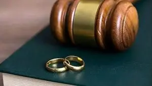 جزئیات قانون 14 سکه چیست؟