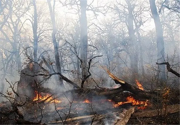 آتش سوزی در جنگل های گیلان چقدر خسارت به بار آورد ؟ + جزئیات 