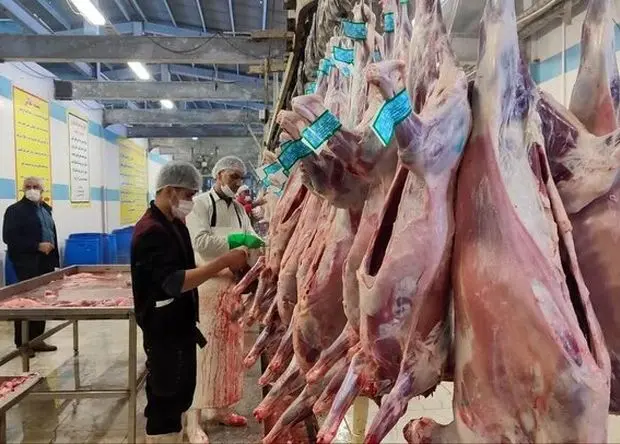 آخرین وضعیت تأمین گوشت قرمز به گفته وزیر جهاد کشاورزی