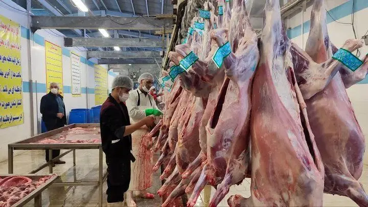 آخرین وضعیت تأمین گوشت قرمز به گفته وزیر جهاد کشاورزی