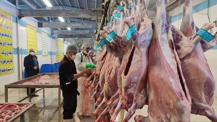 آخرین وضعیت تأمین گوشت قرمز به گفته وزیر جهاد کشاورزی