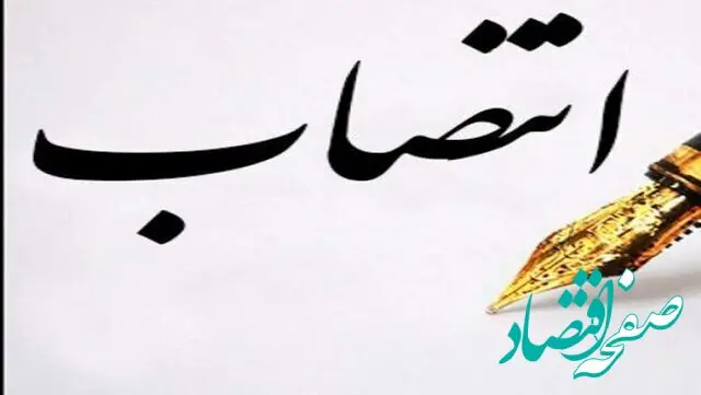 مجری طرح راه اندازی شرکت توسعه زنجیره مس ایران منصوب شد