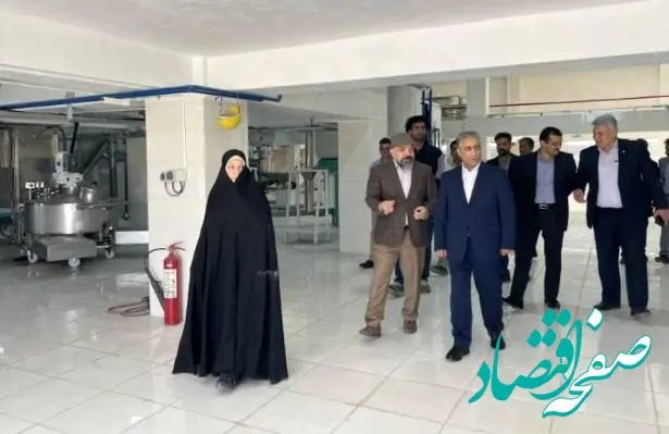 بازگشت”ایلیا ذرت سبز“ به چرخه تولید در غرب کشور