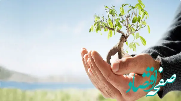 سقف صدور بیمه‌های زندگی تا ۳۰ میلیارد ریال به شعب واگذار شده است