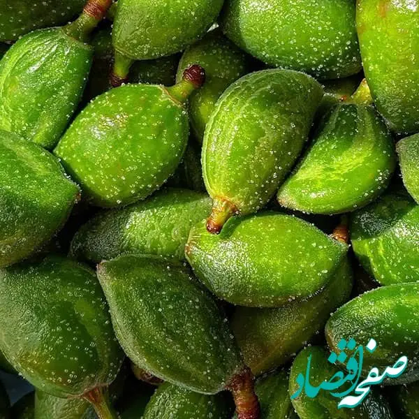 قیمت چغاله بادام پرواز کرد| هر کیلو تا ۲،۰۰۰،۰۰۰ تومان!