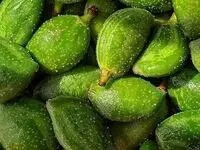 قیمت چغاله بادام پرواز کرد| هر کیلو تا ۲،۰۰۰،۰۰۰ تومان!