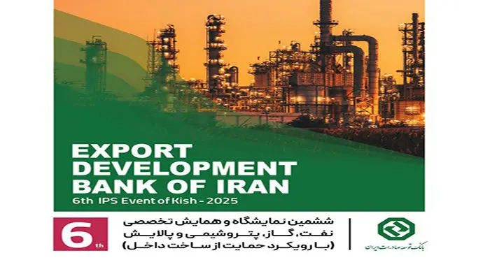 بررسی راهکارهای تأمین مالی صنعت نفت، گاز و پتروشیمی در پنل تخصصی بانک توسعه صادرات ایران