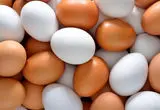 سقوط قیمت تخم‌مرغ در بازار؛ نرخ جدید هر کیلو و هر شانه اعلام شد