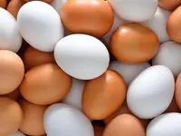 سقوط قیمت تخم‌مرغ در بازار؛ نرخ جدید هر کیلو و هر شانه اعلام شد