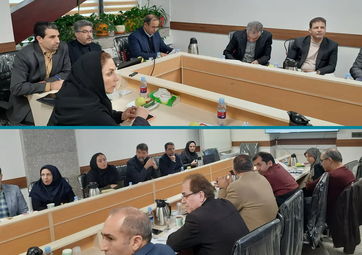 حضور دبیرکل سندیکای بیمهگران ایران در جلسه مدیران شورای عالی بیمه سلامت