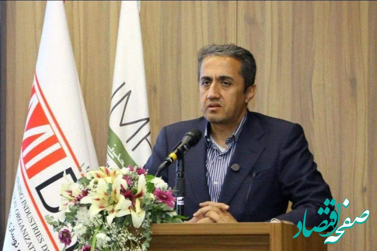 آقاجانلو: ایران و افغانستان مکمل یکدیگر در توسعه ظرفیت های معدنی هستند