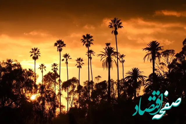 پیش بینی وضعیت آب و هوا خوزستان فردا سه شنبه 3 مرداد ماه 1402 / خوزستانی ها حتما بخوانند
