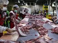 قیمت گوشت قرمز امروز یکشنبه ۲۰ آبان ماه ۱۴۰۳ | رکود در بازار گوشت