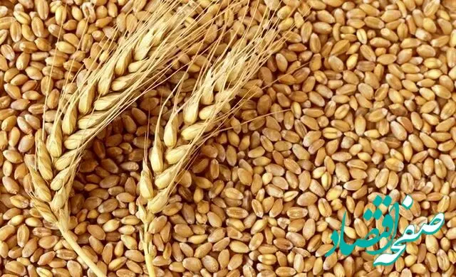 متأسفانه این نرخ پیشنهادی برای قیمت گندم رد شد
