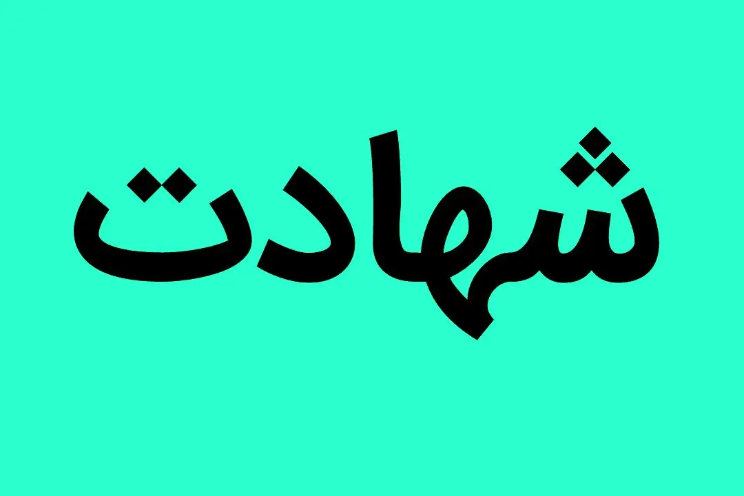 علت شهادت فرزین دلیان در هنگ مرزی بانه چه بود؟  | فرزین دلیان که بود؟ 