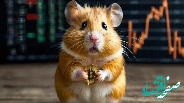 خبر داغ از همستر | قیمت احتمالی سکه‌ های همستر کامبت مشخص شد