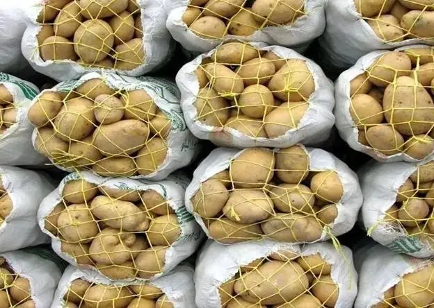 قیمت خرید تضمینی سیب زمینی و پیاز در سال ۱۴۰۵ | سیب زمینی کیلویی چند؟ 