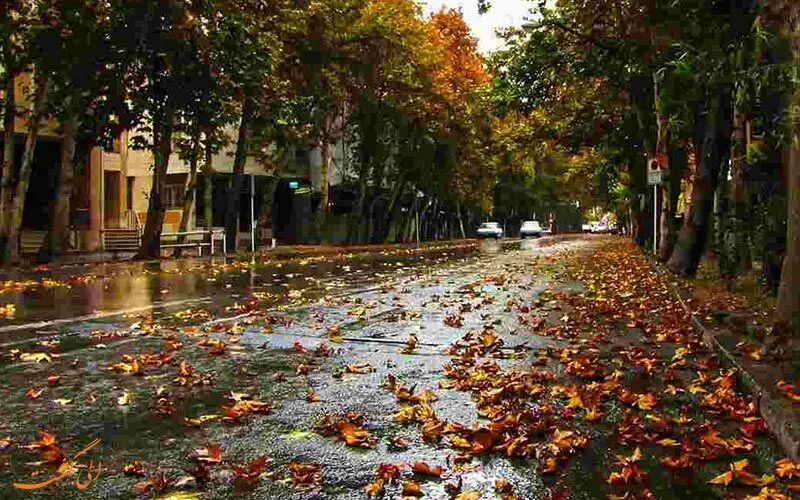 هواشناسی | بارش‌های تابستانی تا در چند استان و تا کی تداوم دارد؟ 

