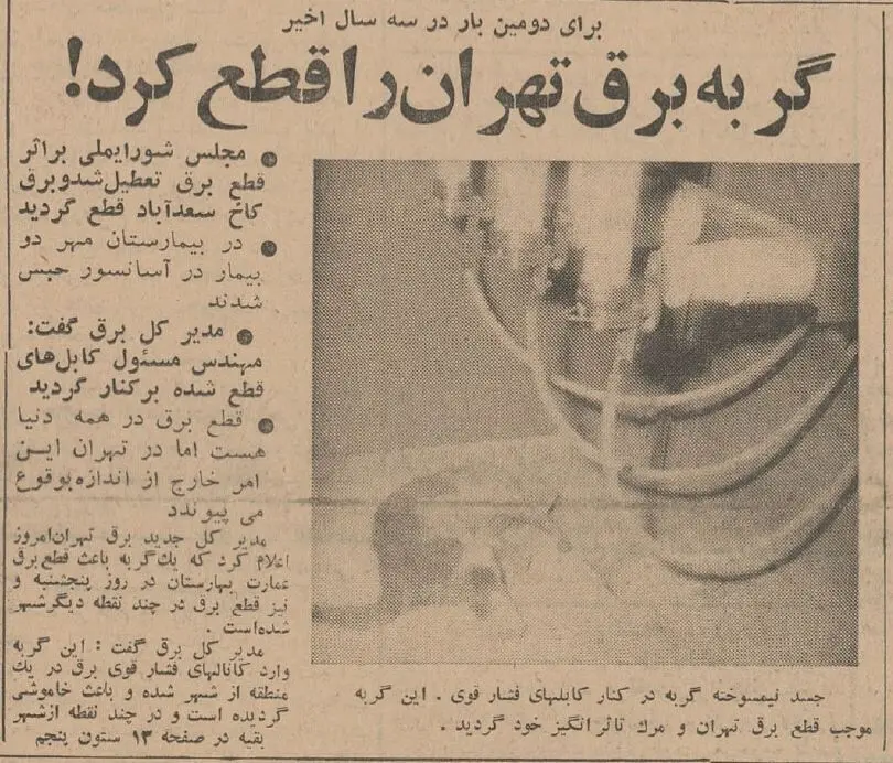عکس / یک گربه برق تهران را قطع کرد! 