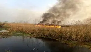 علت آتش سوزی در تالاب انزلی چه بود؟ | مهار شد