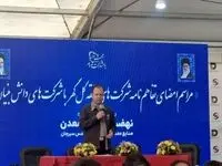 اتصال شرکت های دانش بنیان و تولید کنندگان در منطقه گل گهر