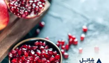 تخفیف ویژه یلدایی شاتل موبایل برای بسته‌های اینترنت پرحجم