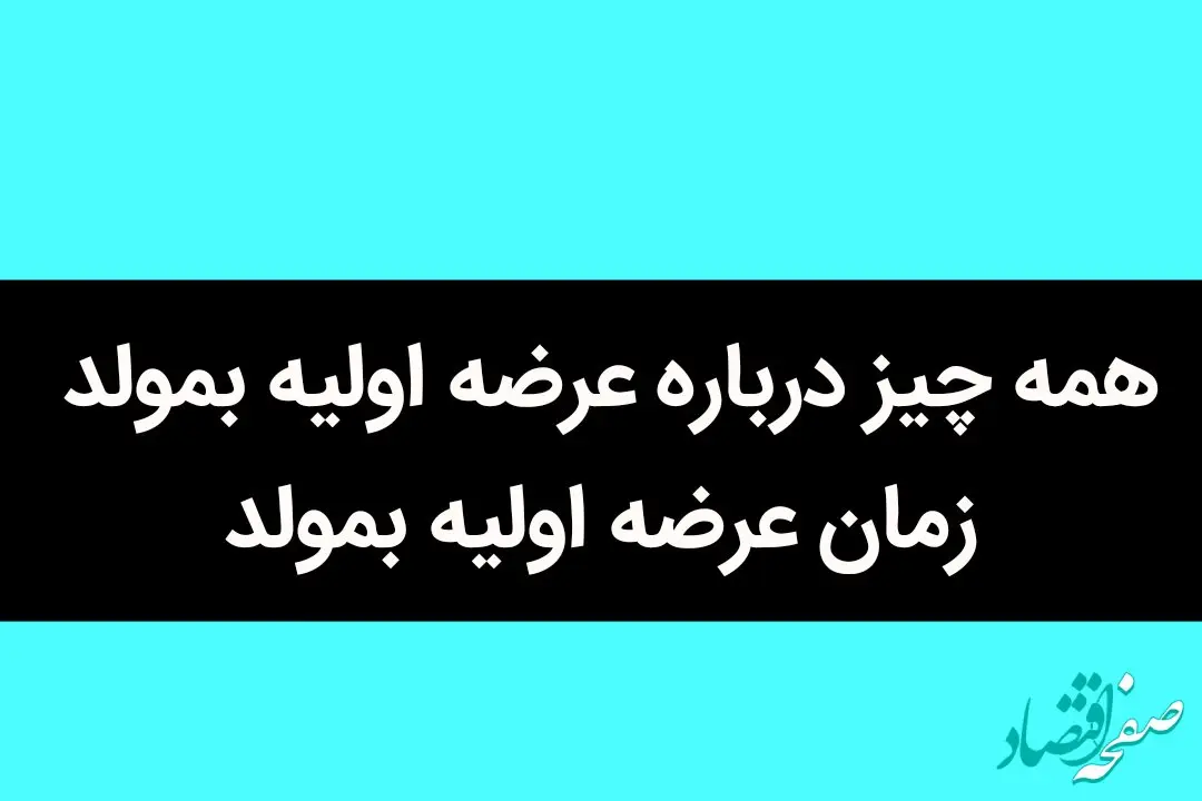 همه چیز درباره عرضه اولیه بمولد + میزان نقدینگی و زمان عرضه اولیه بمولد