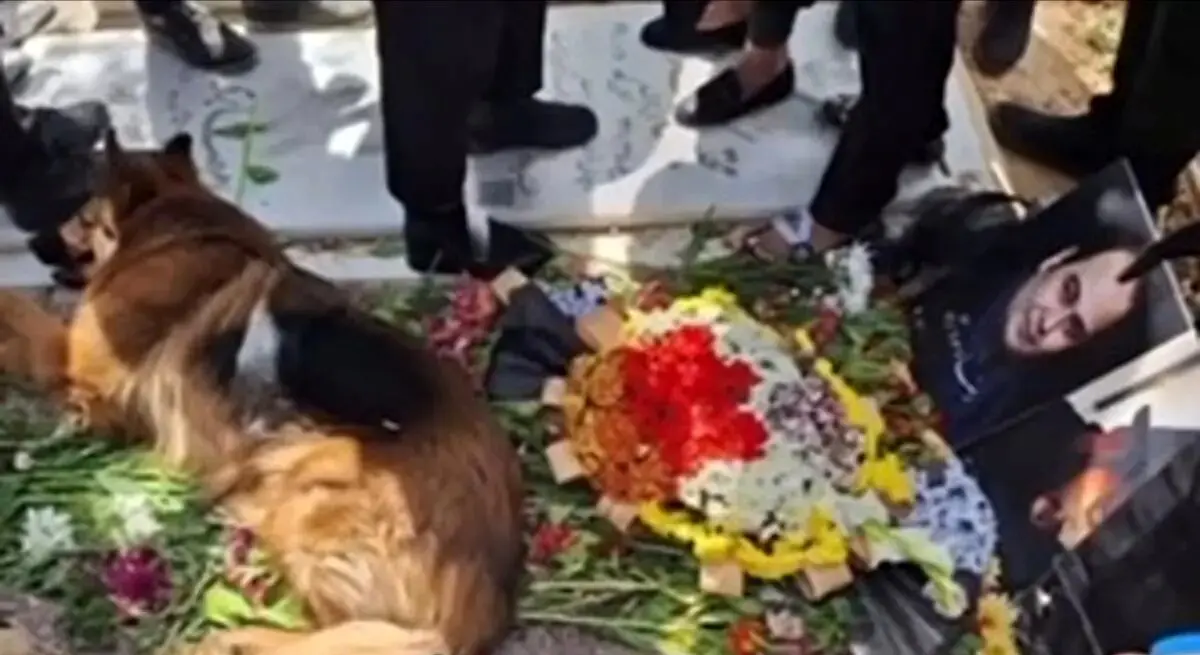 فیلم | ویدئویی غمناک از ناراحتی سگ وفادار رضا داوودنژاد 