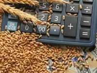 آخرین خبر از پرداخت مطالبات گندمکاران امروز شنبه ۱۷ مرداد + زمان جدید واریز