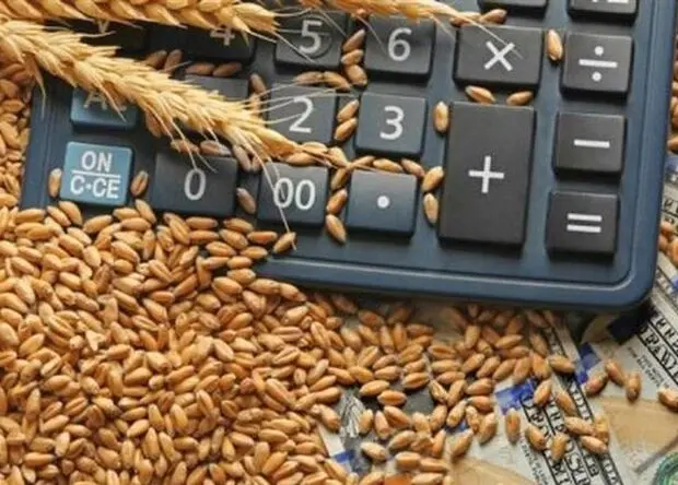 آخرین خبر از پرداخت مطالبات گندمکاران امروز شنبه ۱۷ مرداد + زمان جدید واریز