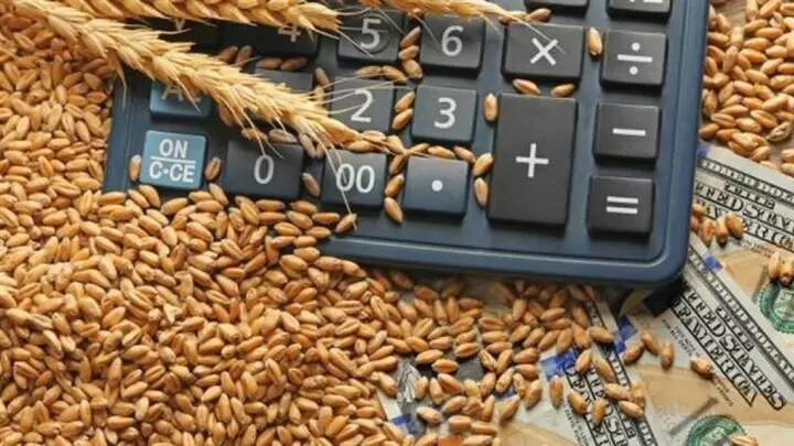 آخرین خبر از پرداخت مطالبات گندمکاران امروز شنبه ۱۷ مرداد + زمان جدید واریز