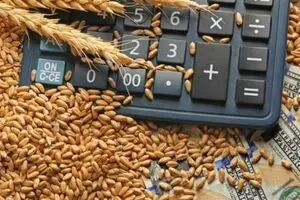 آخرین خبر از پرداخت مطالبات گندمکاران امروز شنبه ۱۷ مرداد + زمان جدید واریز