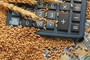 آخرین خبر از پرداخت مطالبات گندمکاران امروز شنبه ۱۷ مرداد + زمان جدید واریز