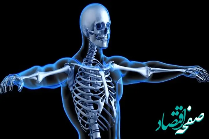 این لبنیات خطر ابتلا به پوکی استخوان را کاهش می دهد