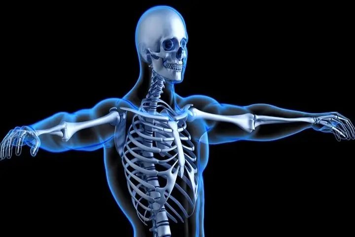 این لبنیات خطر ابتلا به پوکی استخوان را کاهش می دهد