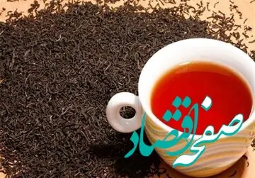 از چای داغی که بلای سفره مردم شد تا مسیر سبز برای فساد میلیارد دلاری «دبش»