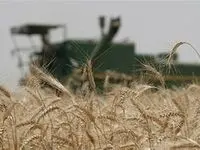 تأمین مالی نوآورانه برای جهش تولید در فاز دوم طرح ۵۵۰ هزار هکتاری