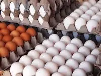 قیمت هر دانه و شانه تخم مرغ امروز جمعه ۲ آذر ۱۴۰۳ 