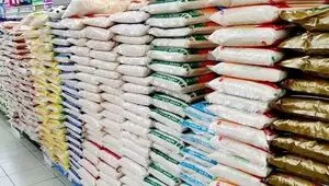 سقوط آزاد قیمت برنج در عمده فروشی؛ تفاوت 115 هزار تومانی در هر کیلو | چرا خرده فروشی‌ها هنوز گران می‌فروشند؟