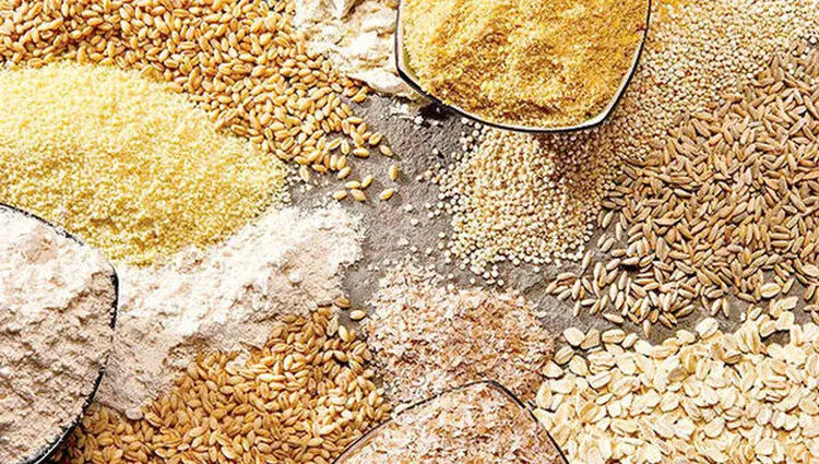 قیمت نهاده های دامی امروز چهارشنبه ۳۱ تیر ۱۴۰۵ + قیمت سبوس گندم