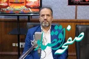 بانک‌های قرض‌الحسنه تکمیل‌کننده پازل نظام بانکی کشورند