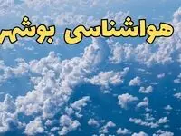 پیش بینی وضعیت آب و هوا بوشهر فردا ۱۴ اسفند ۱۴۰۳ | پیش بینی هواشناسی بوشهر سه شنبه ۱۴ اسفند / آماده باش در بوشهر
