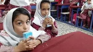 همه چیز درباره برنامه جدید تغذیه رایگان مدارس
