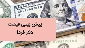 پیش بینی قیمت دلار فردا شنبه ۳ آذر ماه ۱۴۰۳ | دلار روز شنبه سقوط می کند؟ 