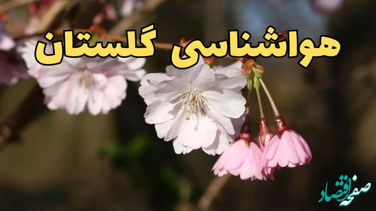 وضعیت آب و هوا گلستان فردا چهارشنبه ۱۳ فروردین ماه ۱۴۰۴ | پیش بینی هواشناسی گلستان ۲۴ ساعت آینده | آب و هوای گرگان در روز سیزده بدر + هواشناسی گرگان