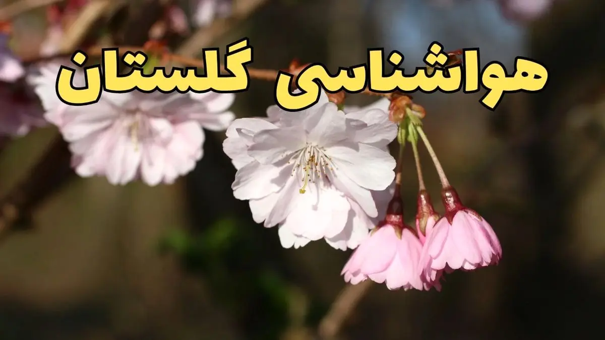 وضعیت آب و هوا گلستان فردا چهارشنبه ۱۳ فروردین ماه ۱۴۰۴ | پیش بینی هواشناسی گلستان ۲۴ ساعت آینده | آب و هوای گرگان در روز سیزده بدر + هواشناسی گرگان
