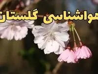 وضعیت آب و هوا گلستان فردا چهارشنبه ۱۳ فروردین ماه ۱۴۰۴ | پیش بینی هواشناسی گلستان ۲۴ ساعت آینده | آب و هوای گرگان در روز سیزده بدر + هواشناسی گرگان