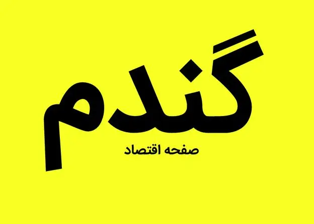 آخرین خبر از پرداخت مطالبات گندمکاران امروز پنجشنبه ۱۷ مهر ماه ۱۴۰۴ | هاشمی گفته های این مدیر را تکذیب کرد