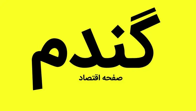آخرین خبر از پرداخت مطالبات گندمکاران امروز پنجشنبه ۱۷ مهر ماه ۱۴۰۴ | هاشمی گفته های این مدیر را تکذیب کرد